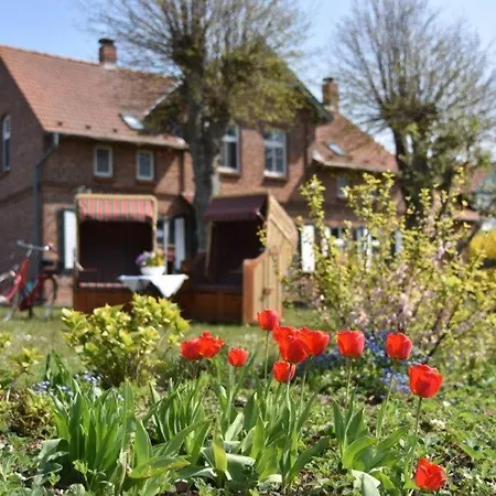 Hotel/pension Bradhering Ahrenshoop